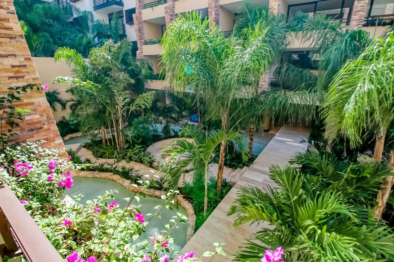 Syrena At 203 Hotel Playa del Carmen Mexico